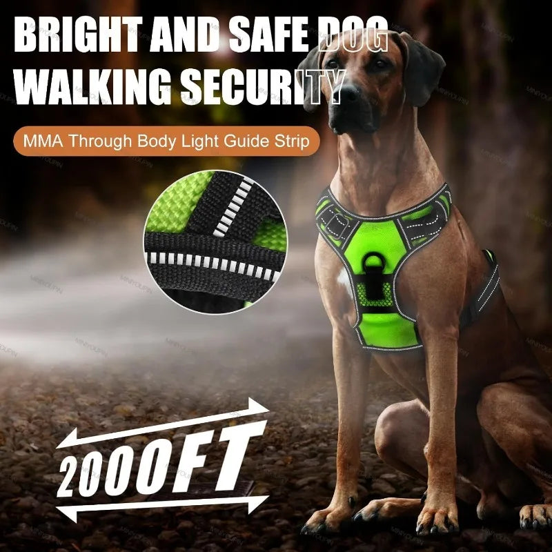Oasis Hound™ LED Glowing Dog Harness