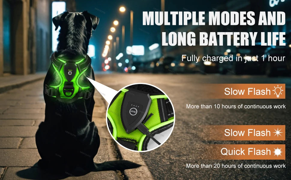 Oasis Hound™ LED Glowing Dog Harness