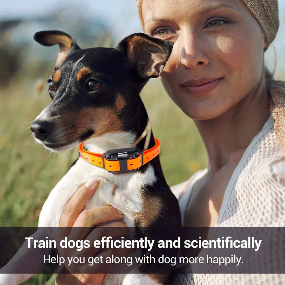 Oasis Hound™ Rechargeable Remote Dog Training Collar