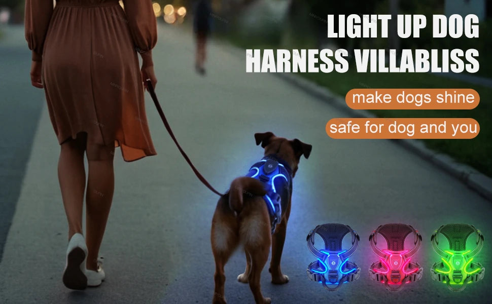 Oasis Hound™ LED Glowing Dog Harness
