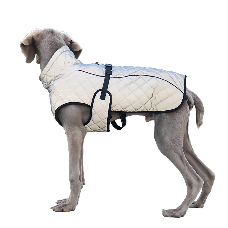 Oasis Hound™ Reflective Winter Dog Jacket