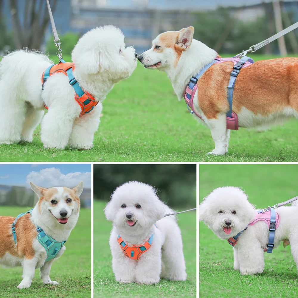 Oasis Hound™ Mesh Breathable Reflective Dog Harness