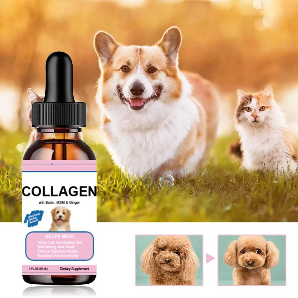 Oasis Hound™ Liquid Collagen
