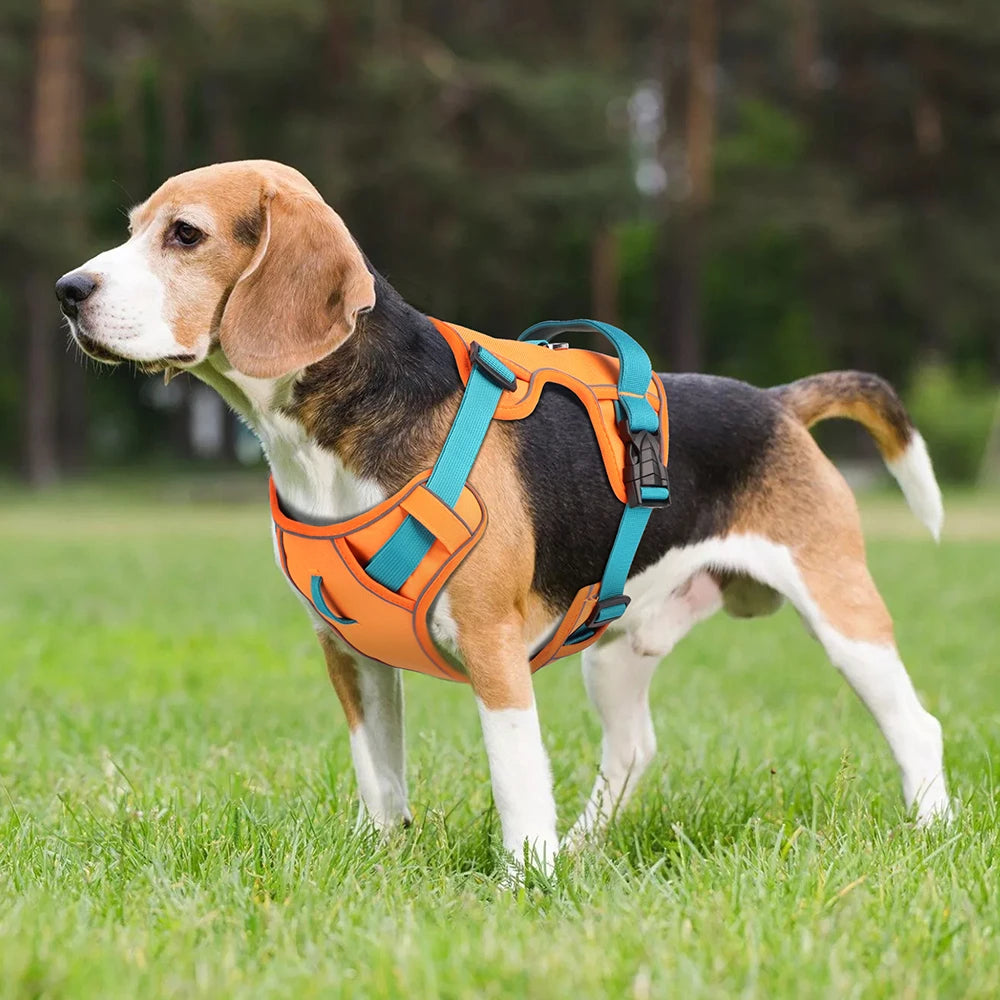 Oasis Hound™ Mesh Breathable Reflective Dog Harness