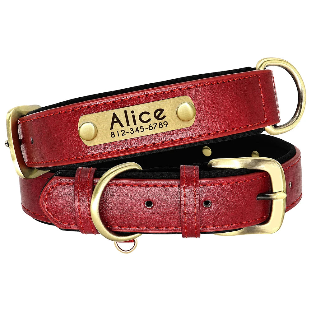 Oasis Hound™ Customized Leather Dog Collar &amp; Leash Set