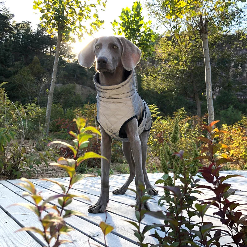 Oasis Hound™ Reflective Winter Dog Jacket