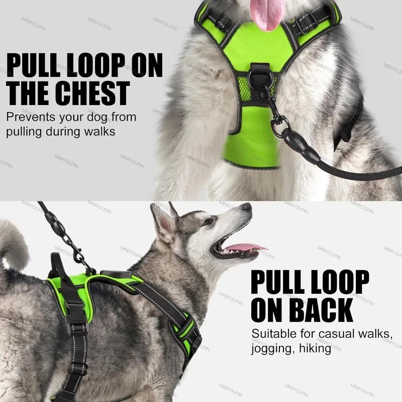 Oasis Hound™ LED Glowing Dog Harness
