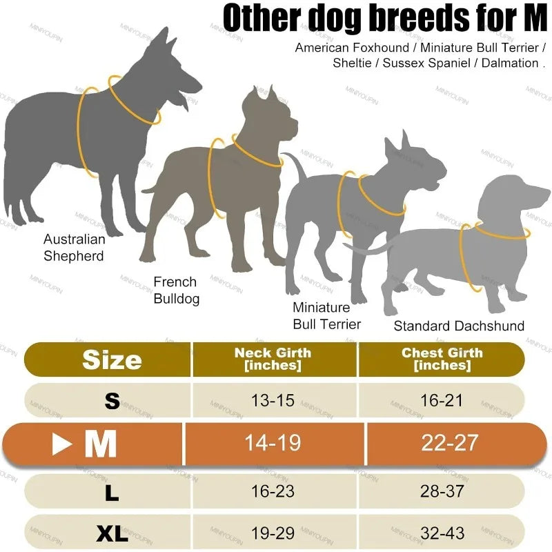 Oasis Hound™ LED Glowing Dog Harness