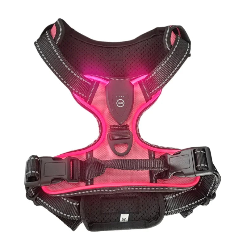 Oasis Hound™ LED Glowing Dog Harness