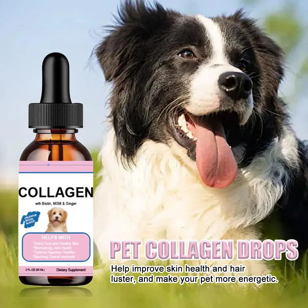 Oasis Hound™ Liquid Collagen