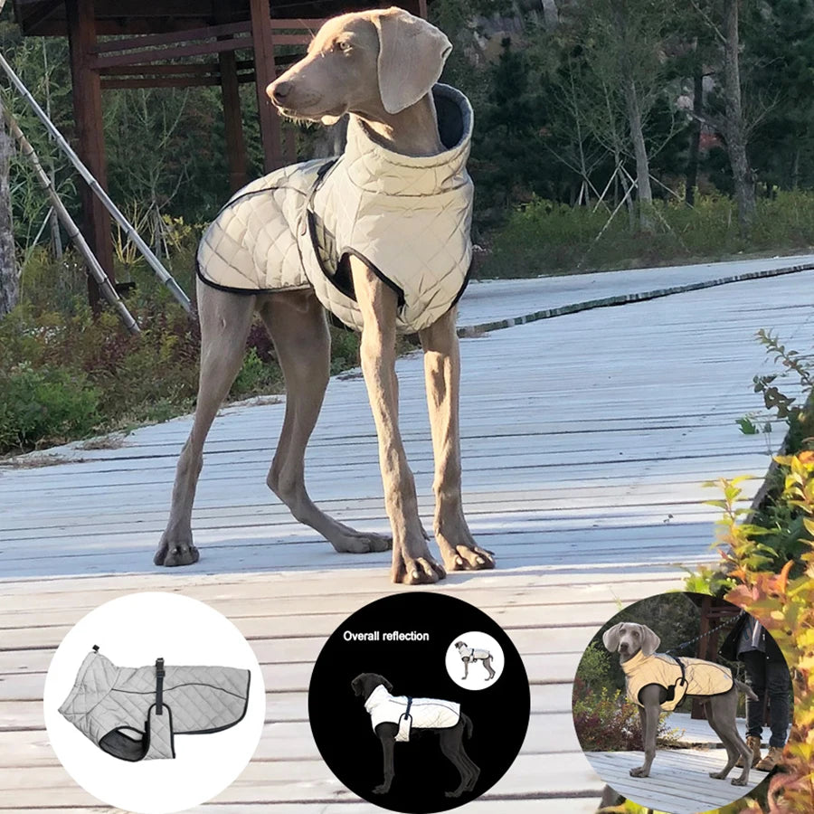 Oasis Hound™ Reflective Winter Dog Jacket