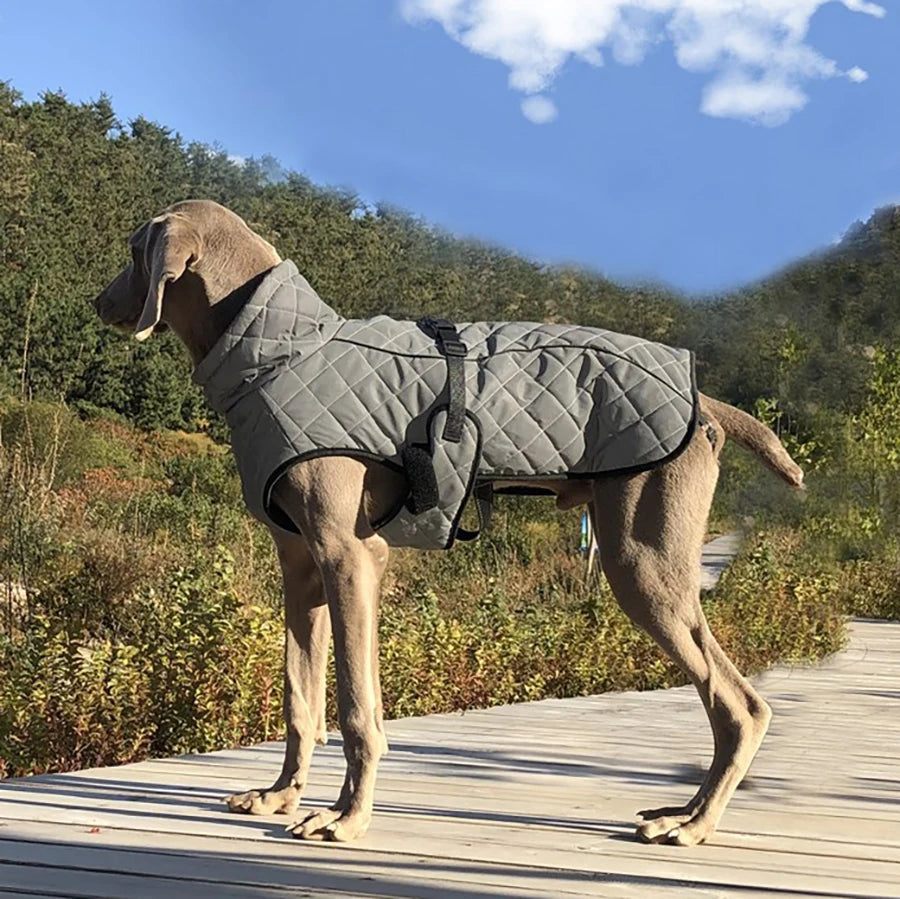 Oasis Hound™ Reflective Winter Dog Jacket