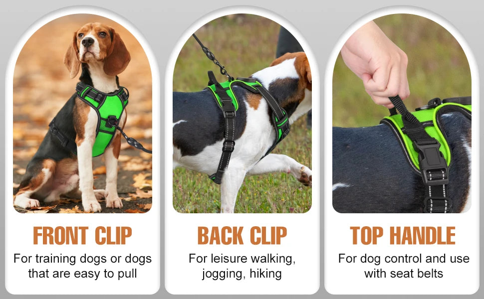Oasis Hound™ LED Glowing Dog Harness