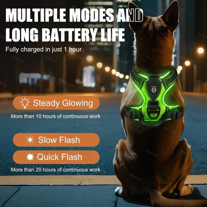 Oasis Hound™ LED Glowing Dog Harness