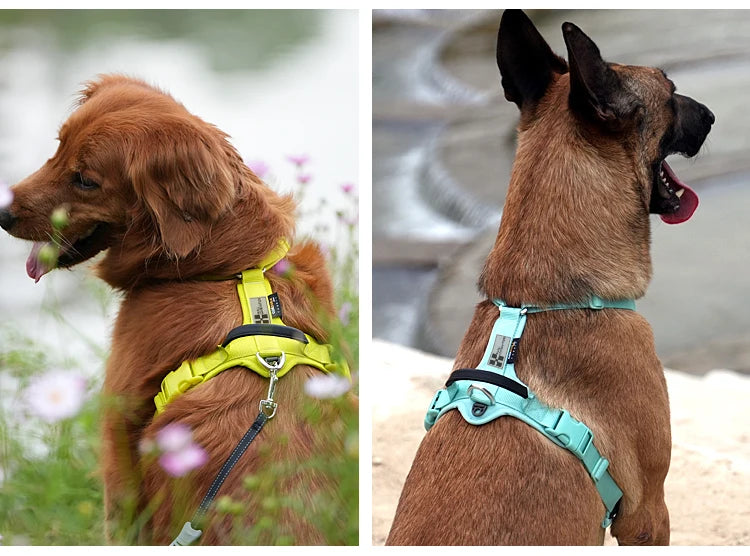 Oasis Hound™ No-Pull Reflective Dog Harness
