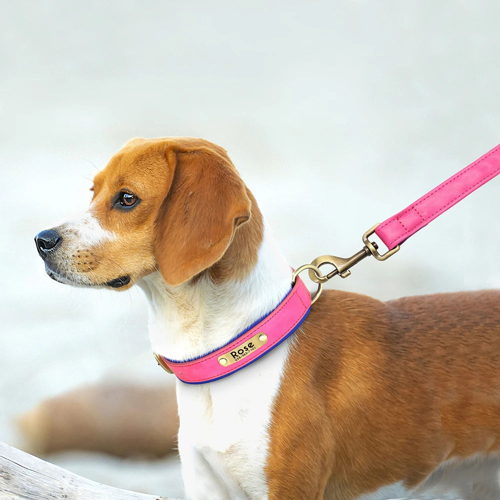 Oasis Hound™ Customized Leather Dog Collar &amp; Leash Set